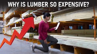 Why is Lumber so expensive  Supply chain issues explained [upl. by Animaj733]