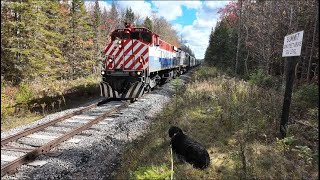 quotNorth Woods Ramblinquot Adirondack RR [upl. by Fulton]