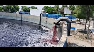 angaripalyam common effluent treatment plant [upl. by Mitch]