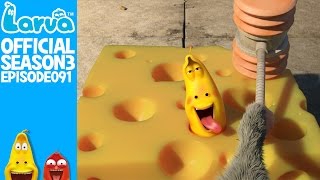 Exclusive  Official Cheese  Larva Season 3 Episode 91 [upl. by Euhsoj471]