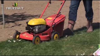 Calendrier du jardinier mai  que faire au jardin  Truffaut [upl. by Stilla]