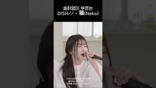 프로미스나인 송하영이 부르는 DISH  猫Neko ㄷㄷㄷㄷ [upl. by Buchanan]