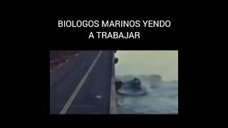 Biólogos marinos yendo a trabajar [upl. by Slavin376]