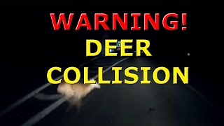 The Plow Guys Hit a deer last night [upl. by Nyledaj]