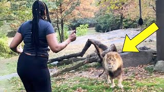 Lion Sees Caretaker Again After 8 Years – Pay Close Attention To His Reaction [upl. by Ientirb]