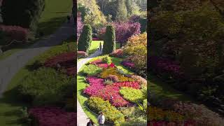 Beautiful BUTCHART gardens 🇨🇦 [upl. by Dev]