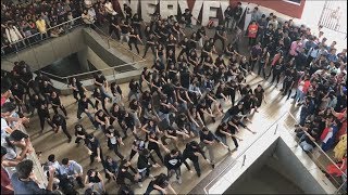 Verve 2K18 Flashmob  VIT  Vidyalankar Institute Of Technology [upl. by Eteragram513]