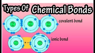 Types of Chemical Bonds [upl. by Ahsaenat]