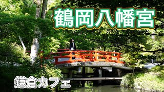 【鎌倉観光】鶴岡八幡宮でおみくじ…結果は？ [upl. by Merrielle]