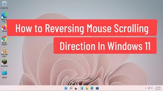 How to Reverse Mouse Scrolling Direction In Windows 11 [upl. by Rakso414]