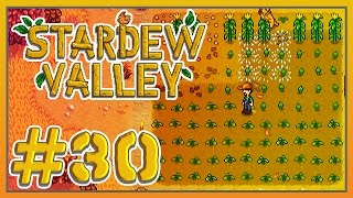 Stardew Valley  30  Field Planning [upl. by Gloria]