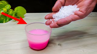 Mix Coarse Salt with Fabric Softener the result will surprise you [upl. by Nyssa]