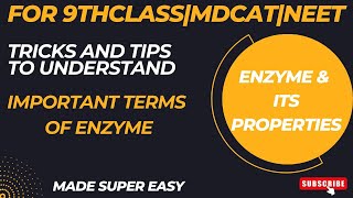 Understand terms Holoenzyme vs Apoenzyme vs cofactor vs coenzyme with very easy amp simple tricks [upl. by Eelrebma]