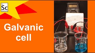 Galvanic cell  CHEMISTRY EXPERIMENTS [upl. by Benge]