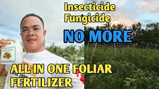 FOLIAR FERTILIZER NA ALL IN ONE [upl. by Silisav]