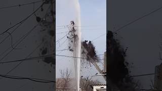 Birds Nest Destroyed By Fire Fighters TrendingShorts TrendingVideos ViralVideos [upl. by Sethrida519]