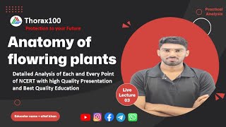 Anatomy of flowering plants Lecture 03 for Class 11 amp NEET Thorax100 [upl. by Eceinwahs922]