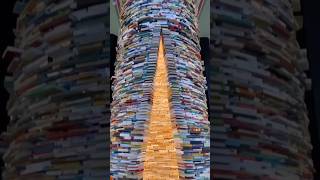 This Is The Deepest Book Library 📚 shorts ytshorts worldkfactz [upl. by Fornof]