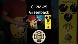 Celestion Speaker Comparison  G12M25 Greenback vs G12 Vintage 30 vs G12H75 Creamback [upl. by Cappello]