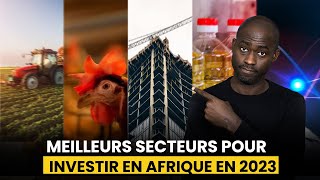 Les meilleurs secteurs pour investir pour la diaspora en Afrique [upl. by Beatrice]