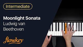 Ludwig van Beethoven – Moonlight Sonata Piano Tutorial [upl. by Yadsendew]