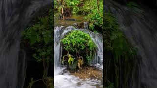 Nagelsteiner Wasserfälle bei St Englmar travel vacation natur [upl. by Antonina925]