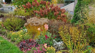 Late October Garden Tour Saving Canna and Elephant Ears to Overwinter Zone 5a [upl. by Affrica327]