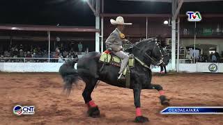 CABALLOS EN LA EXPO GANADERA JALISCO [upl. by Soo]