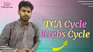 Overview of Krebs Cycle TCA Cycle in bangla [upl. by Morell674]