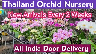 GeorgeTheIndianFarmer Eden Gardens Orchid Nursery Ollur Thrissur Kerala ഓർക്കിഡ് നഴ്സറി [upl. by Etteve]