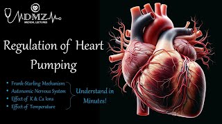 Regulation of Heart Pumping FrankStarling Mechanism Autonomic Control Ion amp Temperature Effects [upl. by Ada]