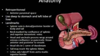 Ultrasound of the Pancreas [upl. by Eibbed911]