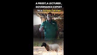 Dorper Farming Episode 1 KenBoer Farm farmlife dorper livestock [upl. by Rosane332]