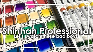 Swatch with meShinhan Professional Watercolor 30 tube set [upl. by Anerom775]