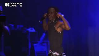 Fireboy DML  Peru Live at Couleur Café 2023 [upl. by Essila642]