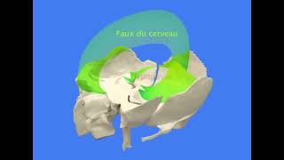 Synchronisation des 3 diaphragmes avec la respiration cosmique Activation de la pinéale [upl. by Yssor]