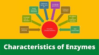 Characteristics of Enzymes  Easy Biology [upl. by Dieterich]