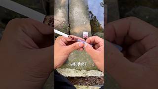 How to Make Cigarette Dispenser shorts viralvideo [upl. by Derna]