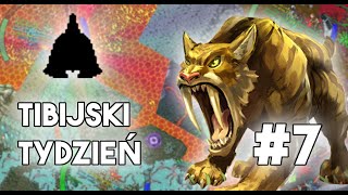 PL Tibia  Tibijski Tydzień  Złoto z Magma Bubble 7 [upl. by Floria781]