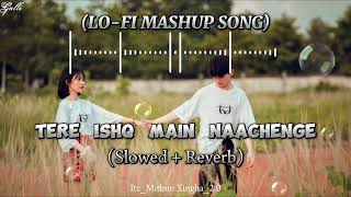 Tere Ishq Mail Naachenge Slowed Reverb LOFI MASHUP SONGS ❤️🤧 [upl. by Hanley932]