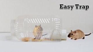 Easy Mouse TrapRat Trap  Mole Trap [upl. by Rogerio921]