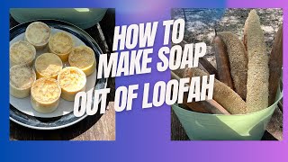 How to Make Soap with Loofah [upl. by Halden]