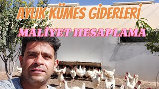 1 AYLIK MALİYET HESAPLAMA  GEZEN TAVUK KÜMES GİDERLERİ [upl. by Alten]