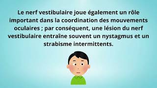 Localisation des lésions cérébrales à travers lévaluation des nerfs crânienschien [upl. by Olegnalehcim]