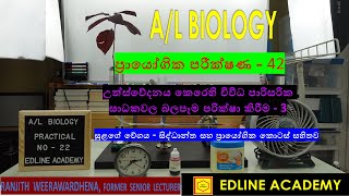 Determination of transpiration rate from a leafy shoot using potometer Part 5 AL Biology Practicals [upl. by Yonit]