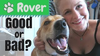 ROVER REVIEW  My Experience Using Rover as a Client [upl. by Natsirt]