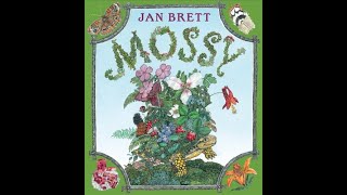 MOSSY by Jan Brett  Read Aloud by Books Bed and Beyond [upl. by Raji]