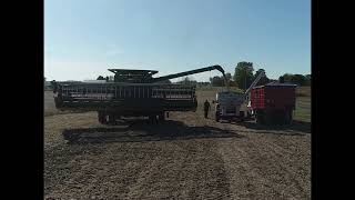 Calibrating Combine in Soybeans [upl. by Eaned]