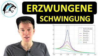 Erzwungene Schwingungen mit Resonanz  Physik Tutorial [upl. by Eiramana]