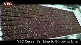 VEC CEREAL BAR LINE to Enrobing Line [upl. by Mycah]